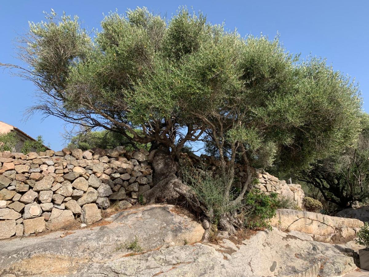 Stazzu Nuraghe Mannucciu Guest House Rena Majore Luaran gambar