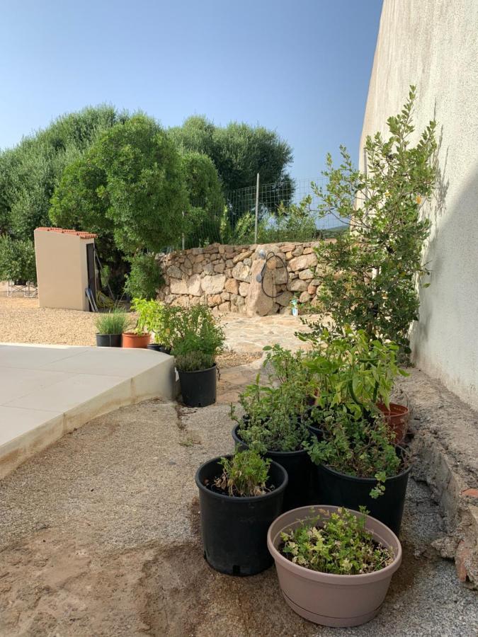 Stazzu Nuraghe Mannucciu Guest House Rena Majore Luaran gambar