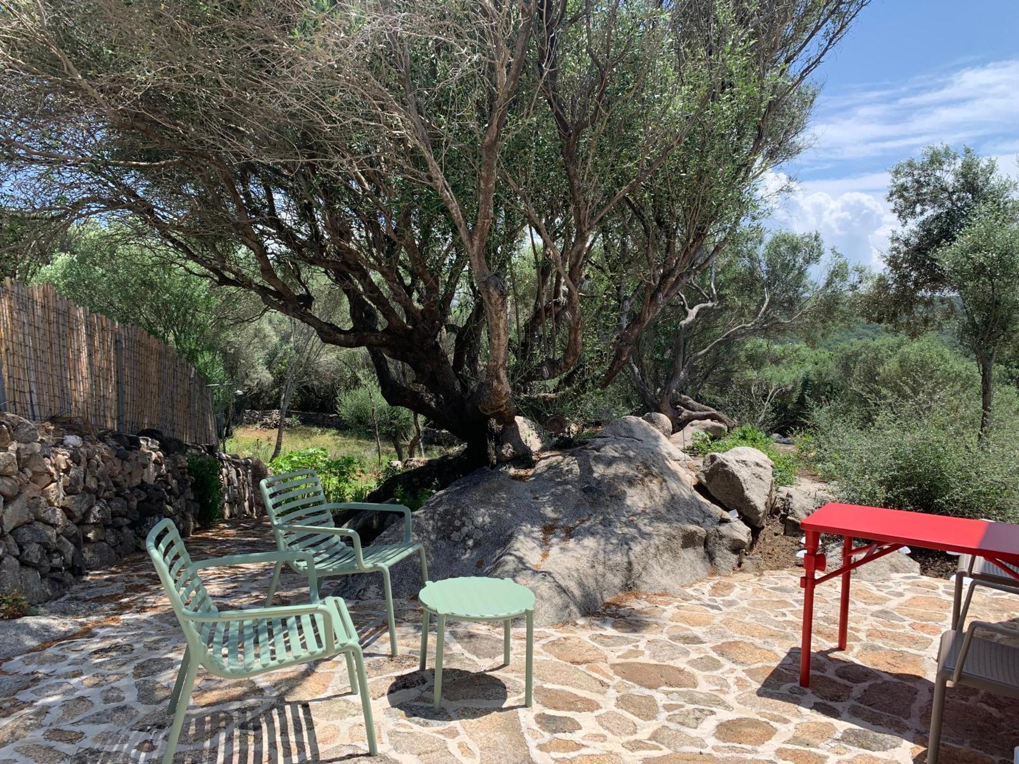 Stazzu Nuraghe Mannucciu Guest House Rena Majore Luaran gambar
